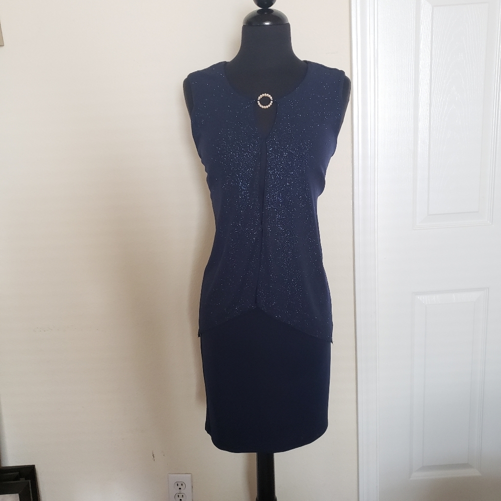 Navy Enfocus Petite Dress